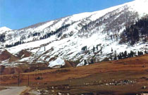 Srinagar Sonmarg Pahalgam Gulmarg Srinagar Tour