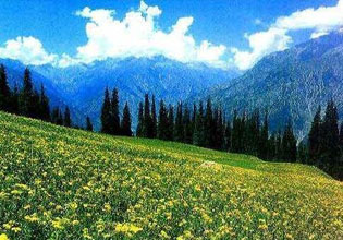 Love in Kashmir