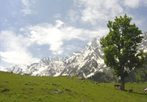 Glorious Jammu and Kashmir Tour
